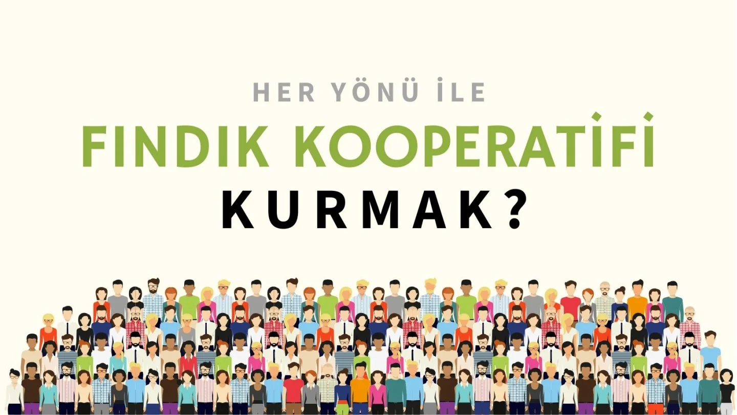 Bir Fındık Kooperatifi Kurulabilir mi? Ve Kurulmalı mı?