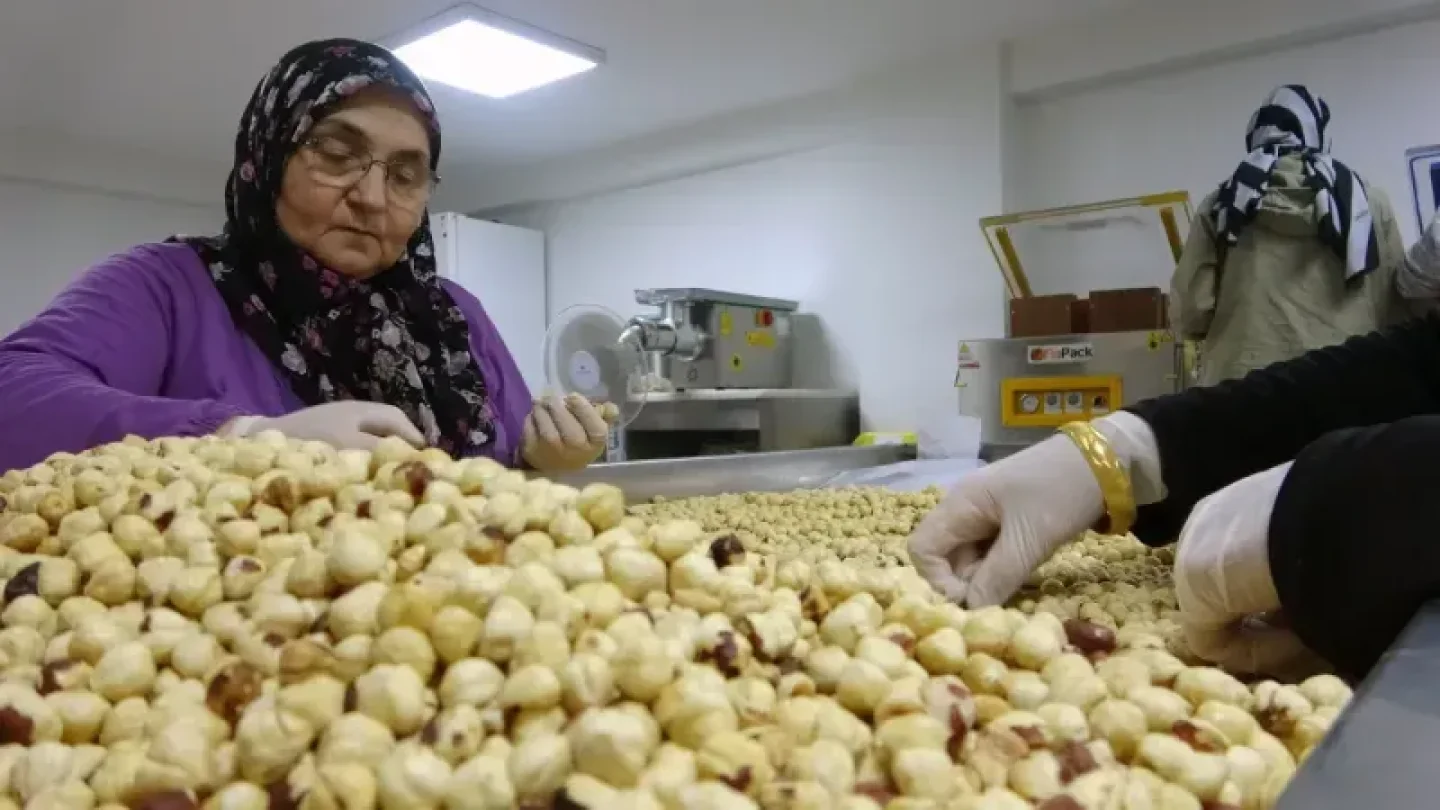 Karadeniz'de Fındık İşleme ve Katma Değerli Ürün Üretimi Başladı