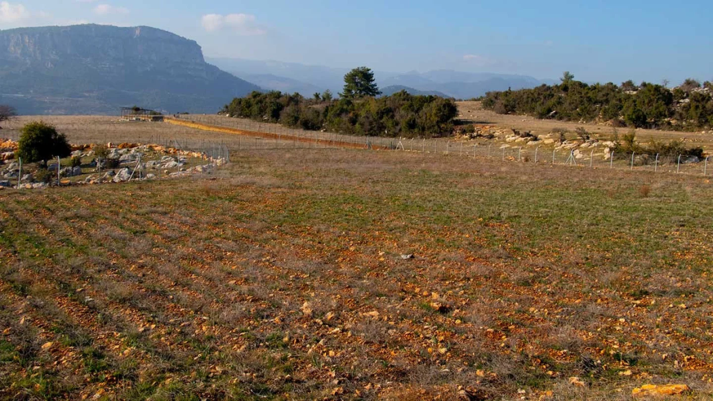 Atıl Tarım Arazileri Üretime Kazandırılıyor: Bakanlık Yeni Düzenlemeleri Hayata Geçiriyor