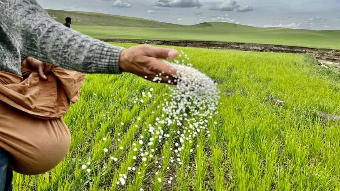 TZOB: Gübre Fiyatları Son Bir Ayda %10 Arttı, Tarımsal Girdi Maliyetleri Yükseliyor