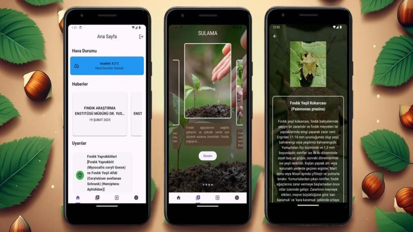 Fındık Üreticileri İçin Yapay Zekâ Destekli Mobil Uygulama Geliştirildi