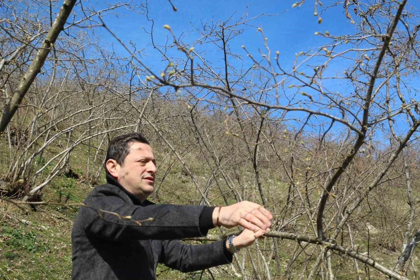 Kar Yağışı Fındık Üreticisini Sevindirdi, Ancak Geç Don Tehlikesine Dikkat!